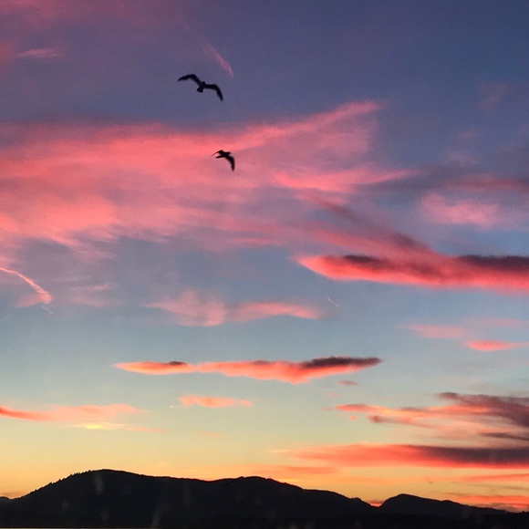 Ruth @ ModeBay 🇨🇦 ⭐️⭐️⭐️⭐️⭐️ - Picture 3 of 12